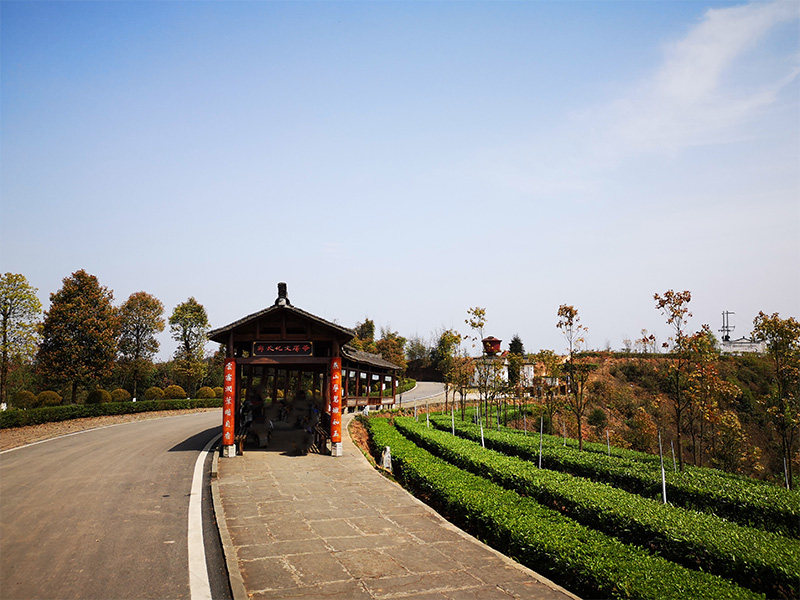 景觀亭.jpg