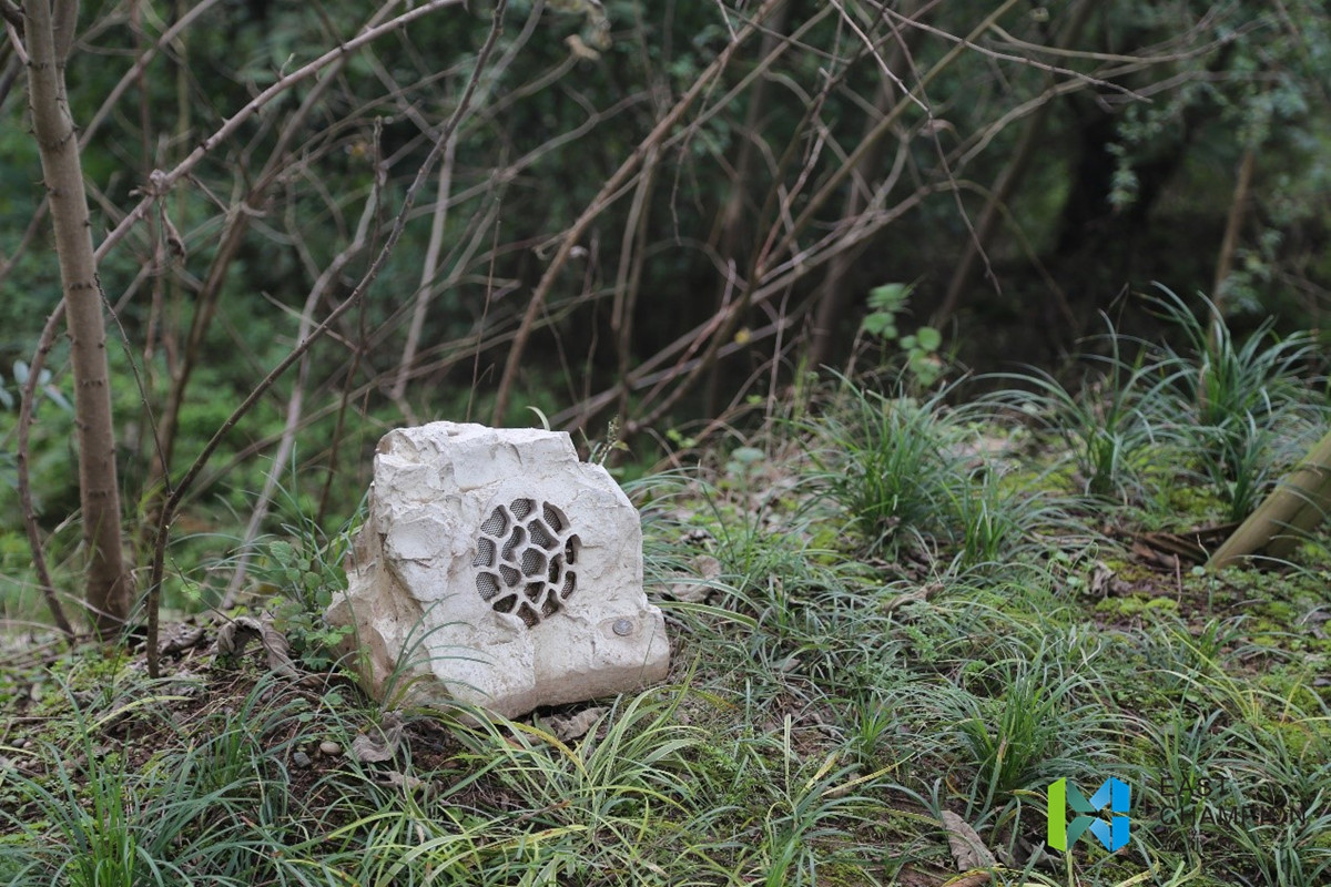 公園基礎(chǔ)設(shè)施.jpg