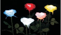 1604621546104567.jpg 燈具.jpg